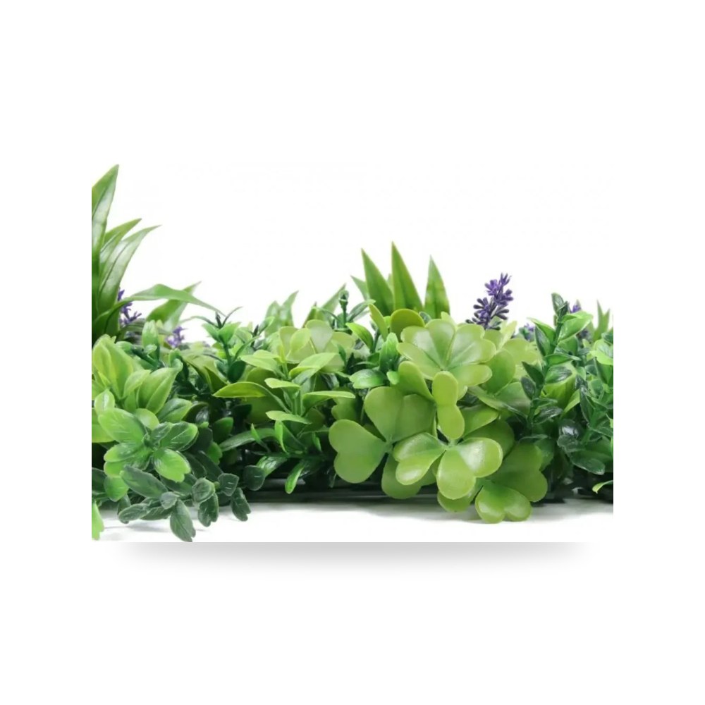 عشب جدارى ثرى دى موف PQ 6 100×100 آل طالب للري والزراعة (Altaleb Agri)