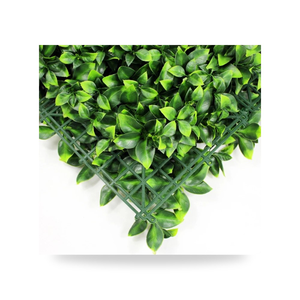 عشب جداري ورق الليمون 50*50 سم آل طالب للري والزراعة (Altaleb Agri)