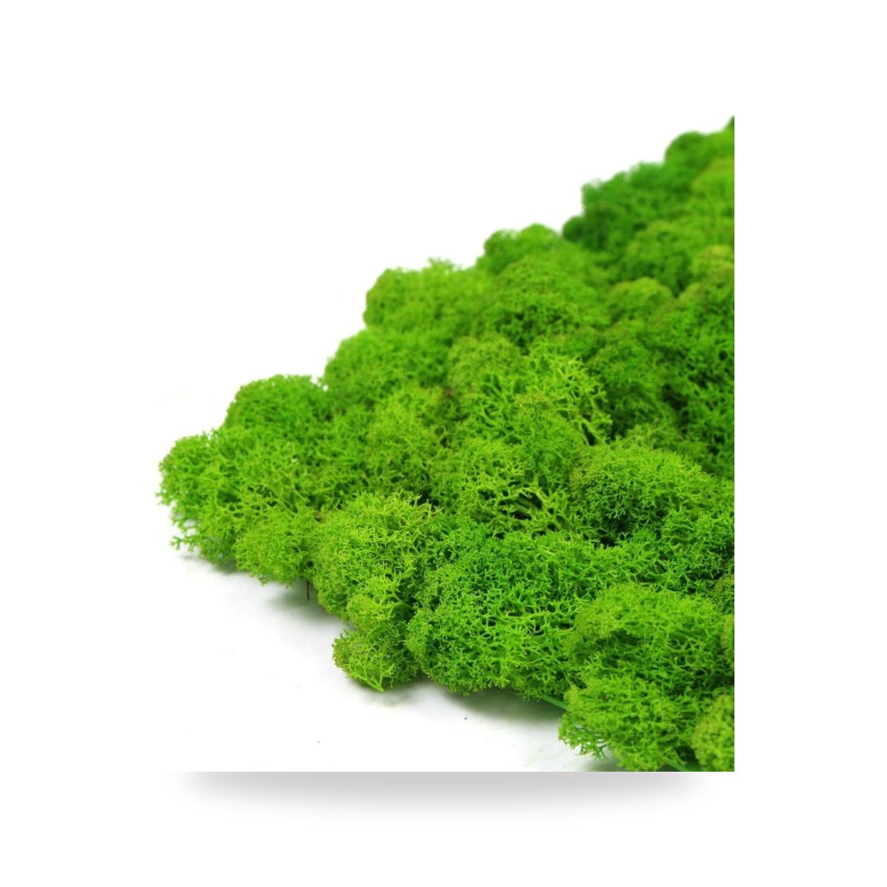 عشب جداري طحالب معتمد للمشاريع الهندسية آل آل طالب للري والزراعة (Altaleb Agri) موديل