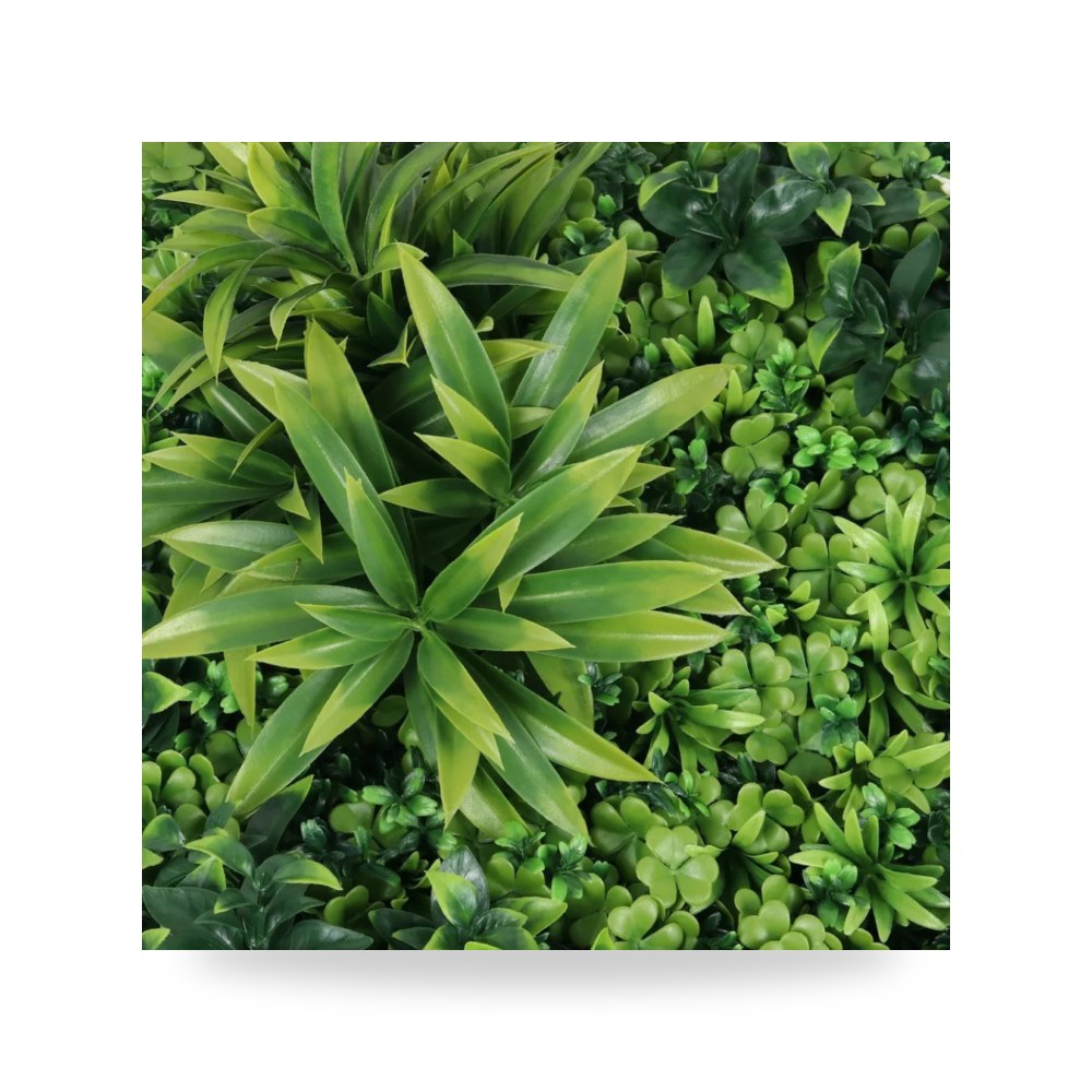 عشب جدارى ثرى دى بلس غامق PQ 20 100×100 آل طالب للري والزراعة (Altaleb Agri)