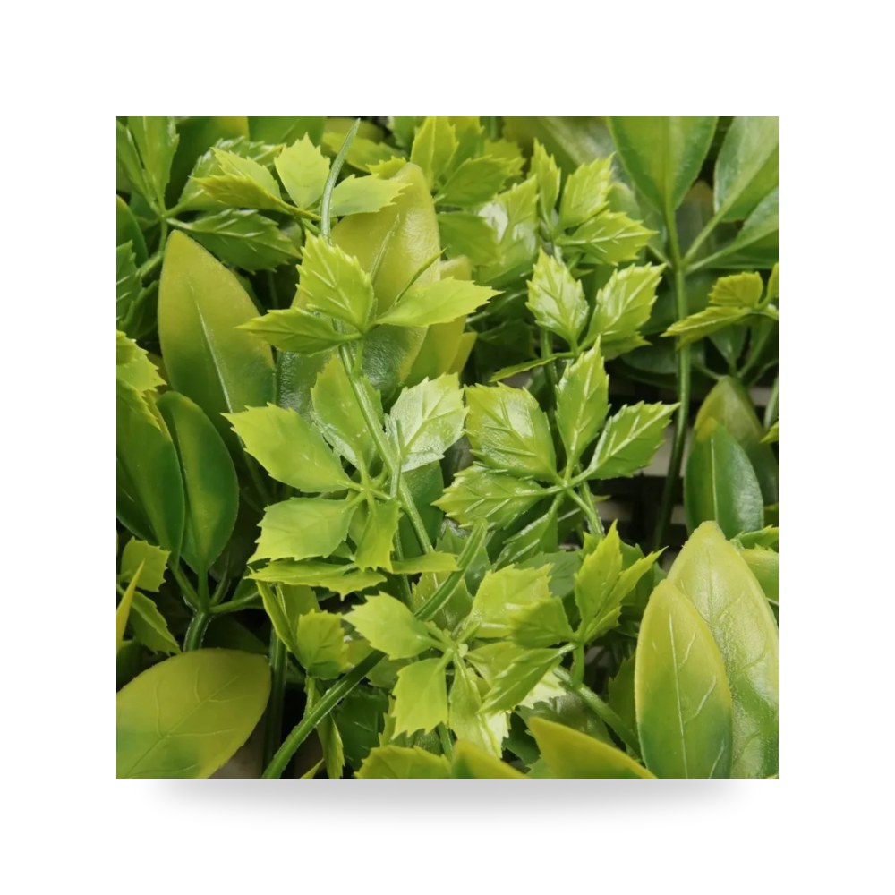 عشب جدارى ثرى دى بلس فاتح PQ 22 100×100 آل طالب للري والزراعة (Altaleb Agri)