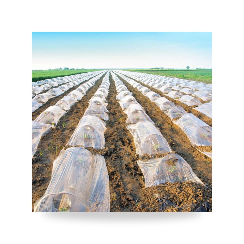 بلاستيك أنفاق طول 100 متر عرض 2.5 متر سماكة آل طالب للري والزراعة (Altaleb Agri) موديل