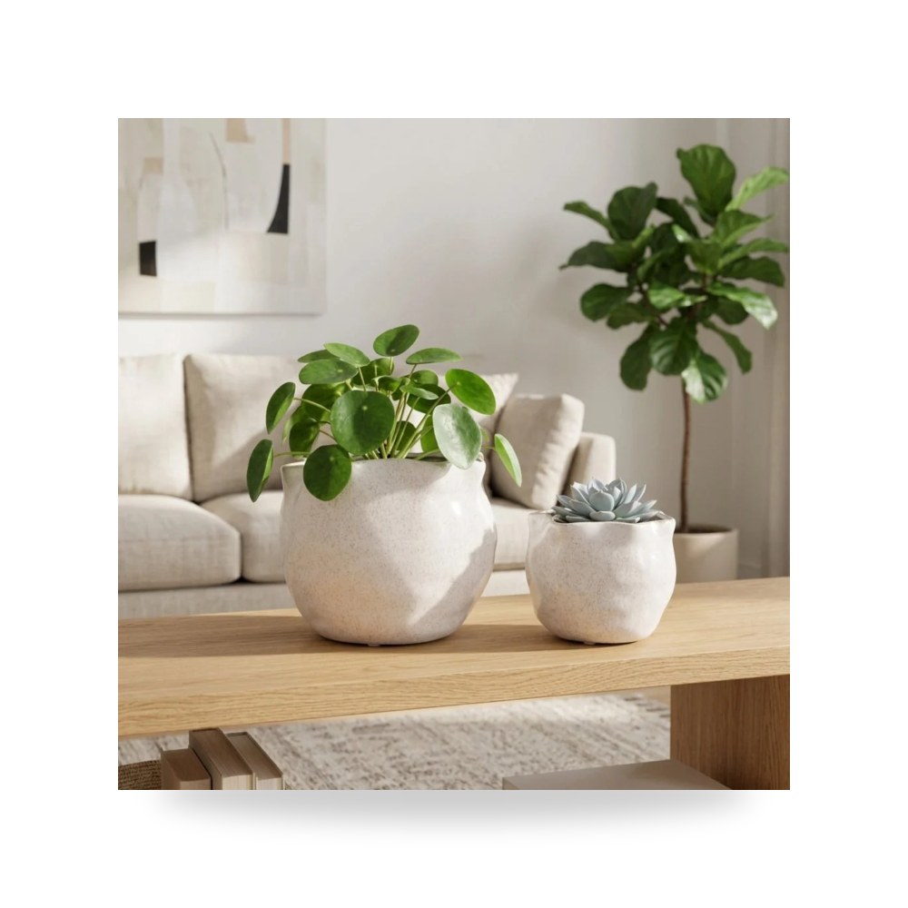 حوض زرع ونباتات ديكوري فاخر - مركن حوض زرع Sagebrook Home موديل 21791 04 - طراز 21791-04