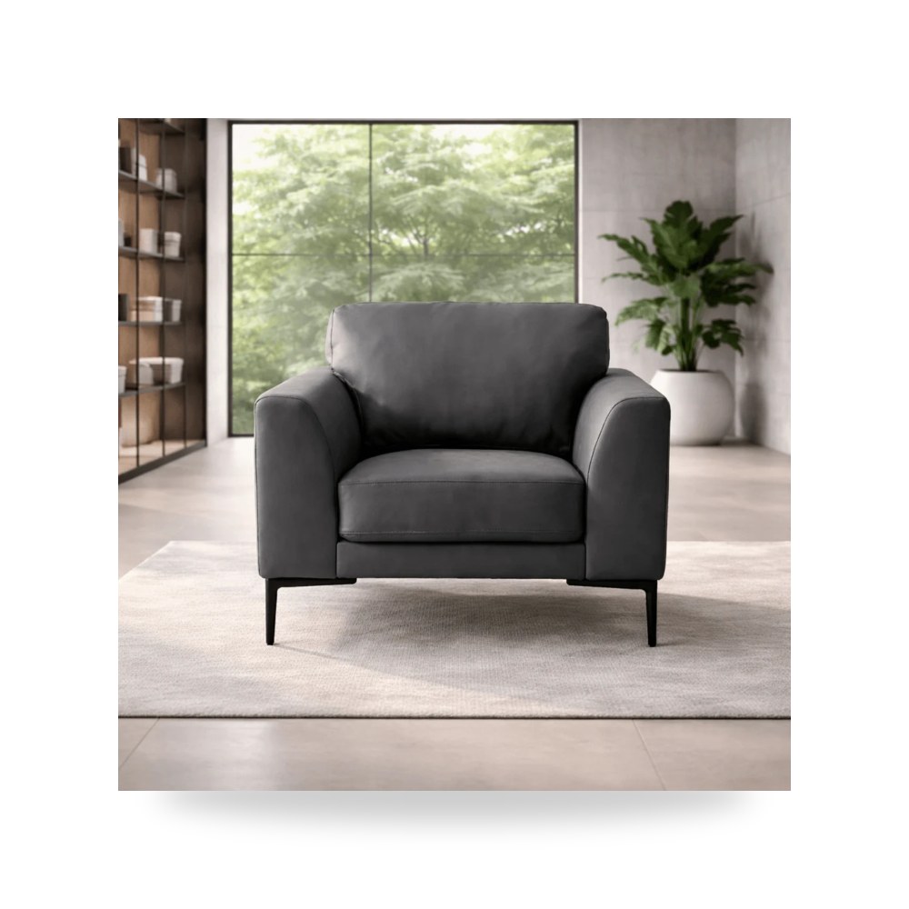 كرسي جلوس بتصميم أنيق - كرسي أسود Dallas - طراز WHC04321V1