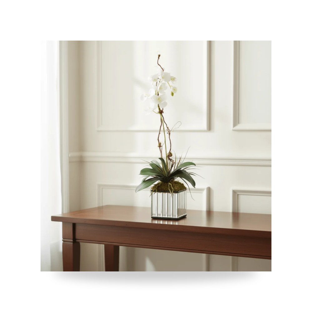 نباتات زينة داخلية وأحواض نباتية فاخر أترموست (Uttermost)