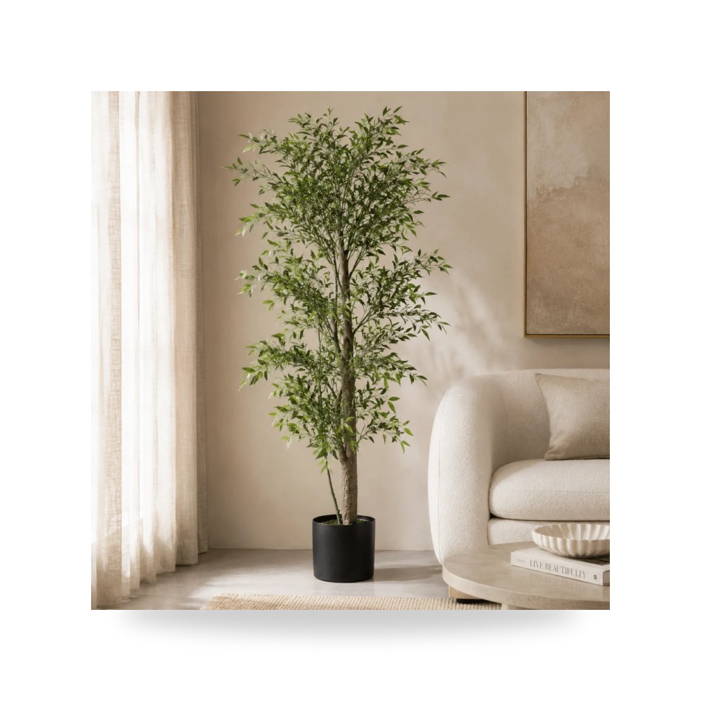 نباتات زينة داخلية وأحواض نباتية فاخر روتس للأثاث - موديل AY44165