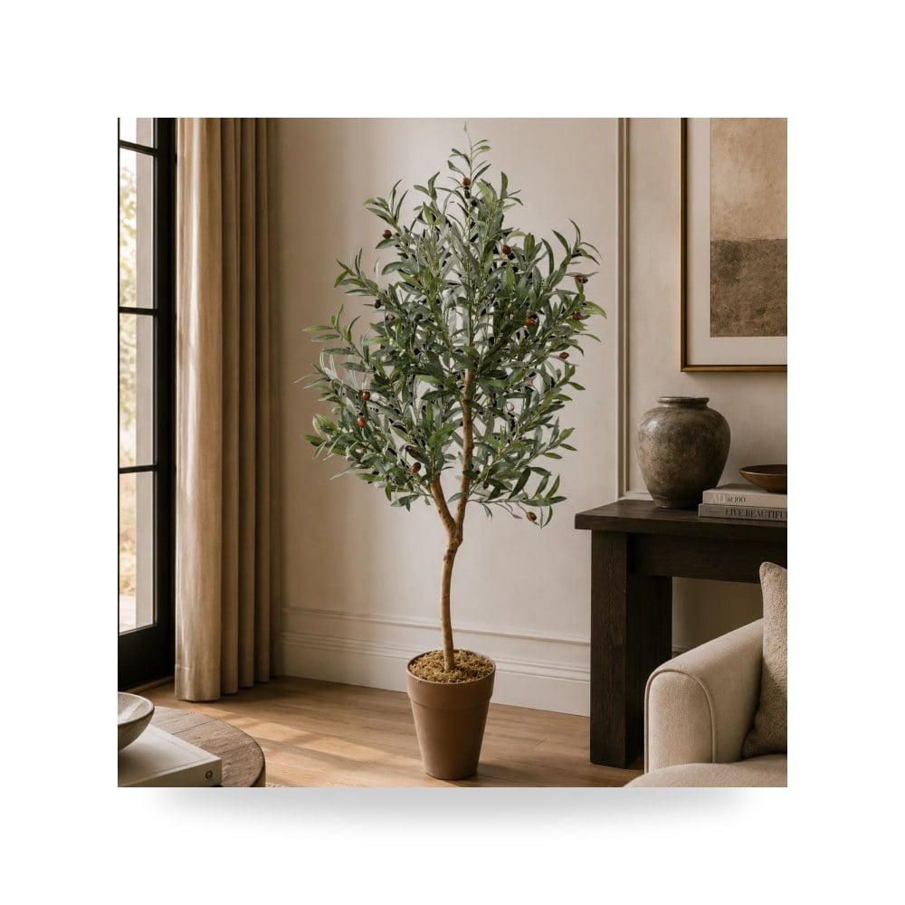 نباتات زينة داخلية وأحواض نباتية فاخر روتس للأثاث - موديل A478150
