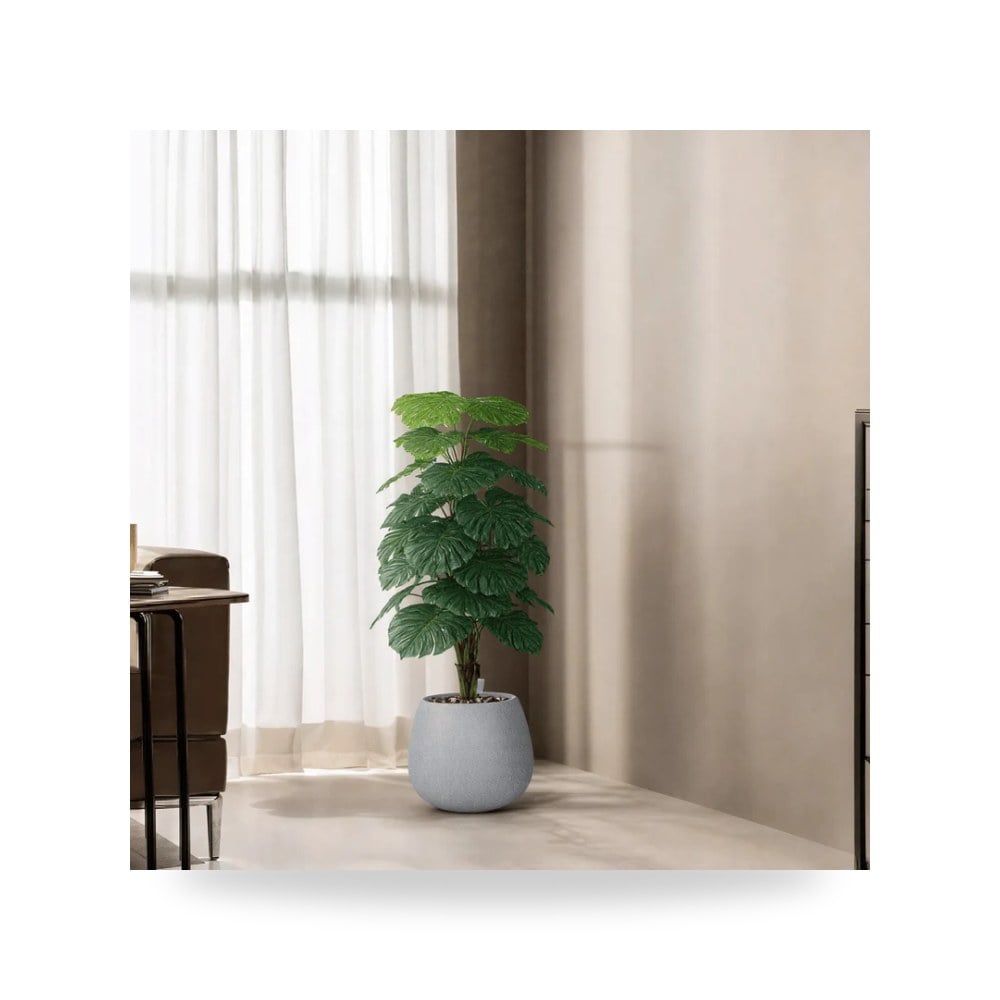 شجرة ألوكاسيا اصطناعية ديكورية فاخرة للمنزل والمكتب موديل RTR870532-w-CS لون أخضر طبيعي