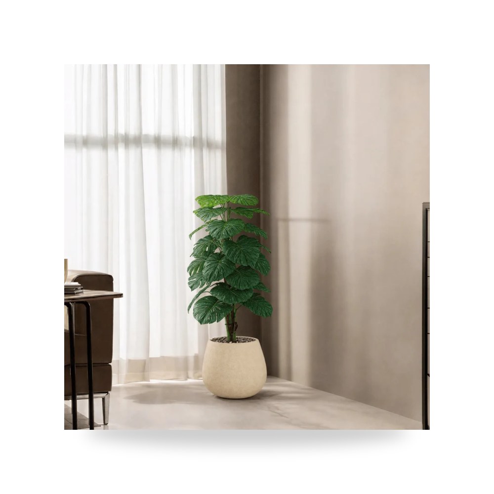 شجرة ألوكاسيا اصطناعية ديكورية فاخرة للمنزل والمكتب موديل RTR870532-w-OWS لون أبيض عاجي