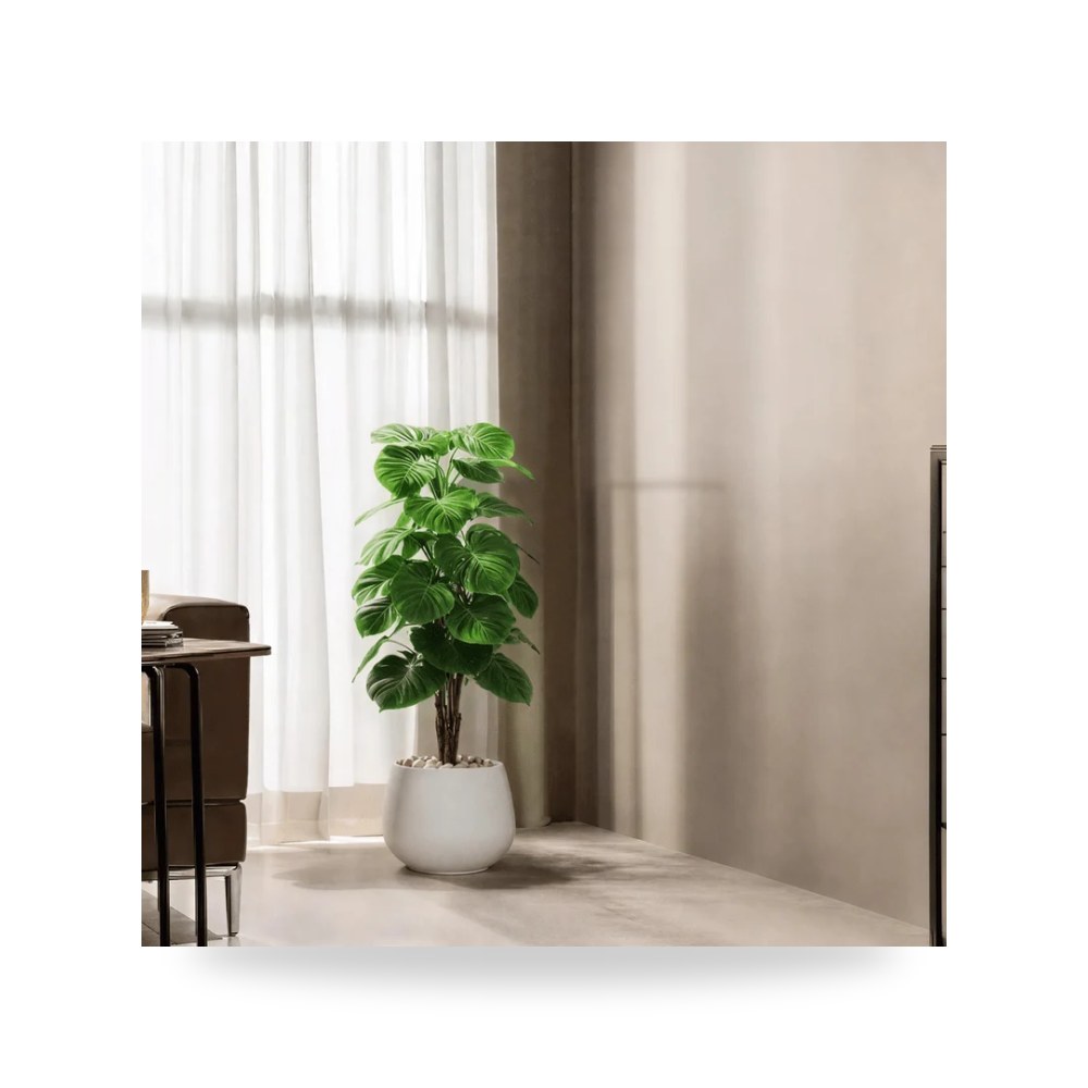 شجرة ألوكاسيا اصطناعية ديكورية فاخرة للمنزل والمكتب موديل RTR870-532-w-WH لون أبيض ارتفاع