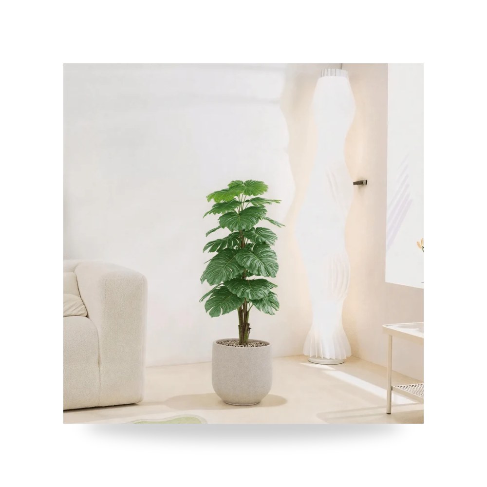 Uses: Ideal for decorating - اسم النبات موديل RTR868534-w-ts Otath