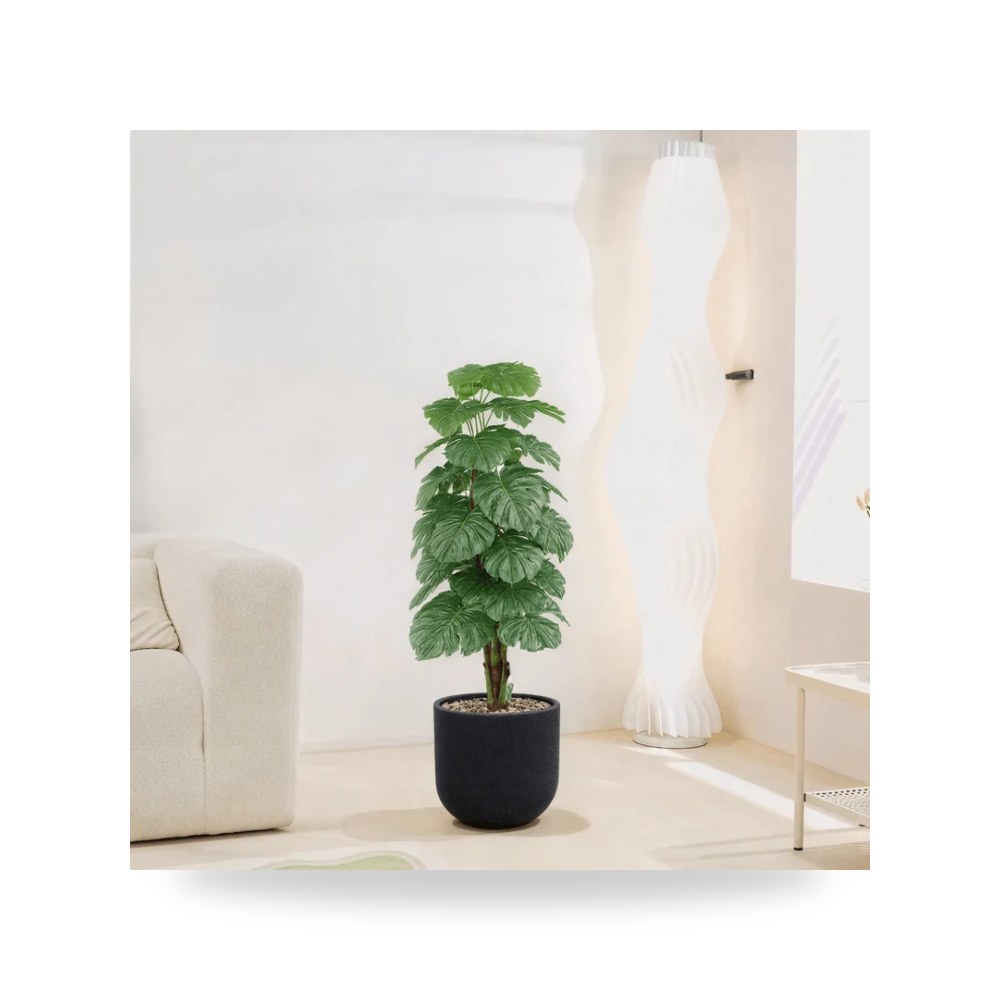 Uses: Ideal for decorating - اسم النبات موديل RTR868-534-w-BS Otath