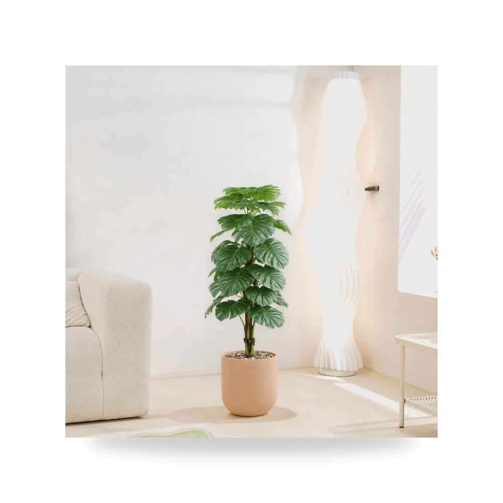 Uses: Ideal for decorating - اسم النبات موديل RTR868-534-w-CS Otath