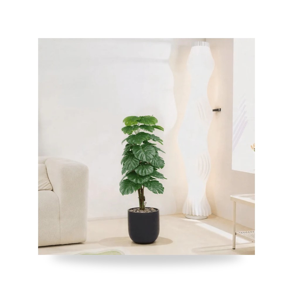 Uses: Ideal for decorating - اسم النبات موديل RTR868-534-w-BL Otath