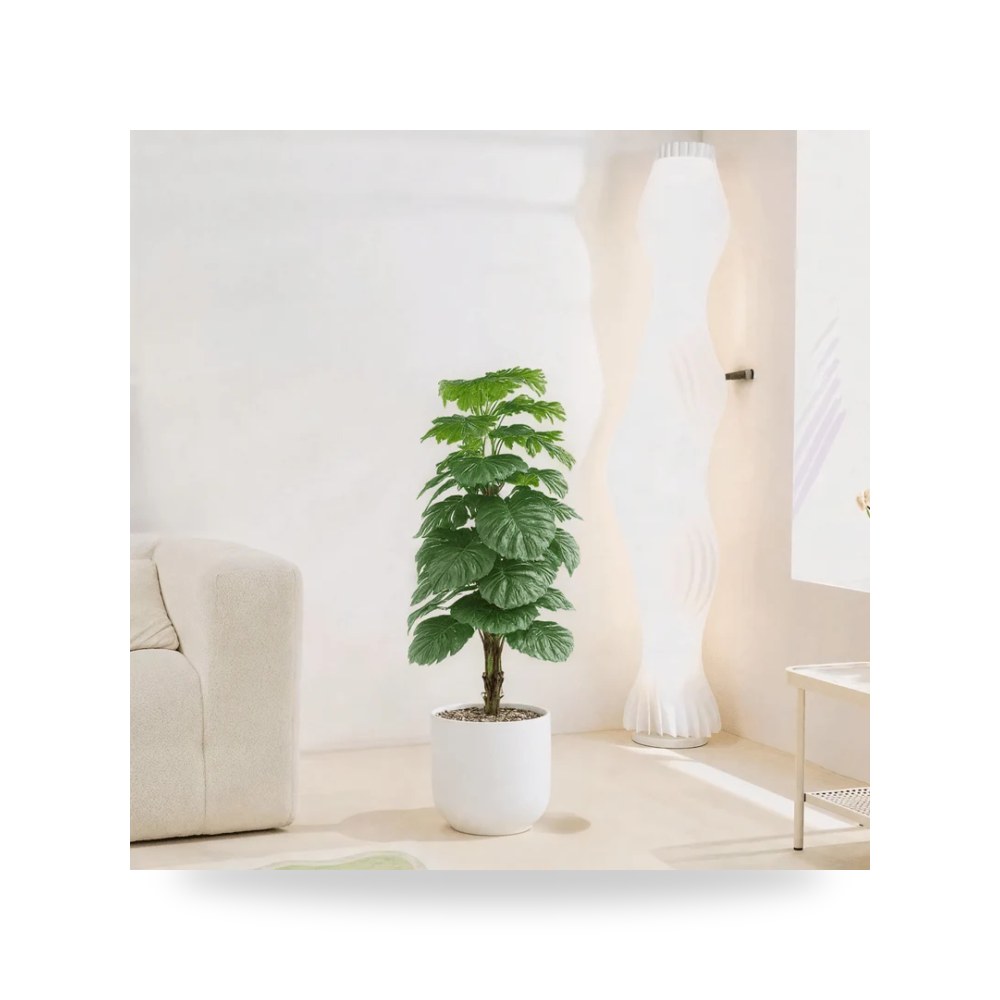 Uses: Ideal for decorating - اسم النبات موديل RTR868534-w-WH Otath