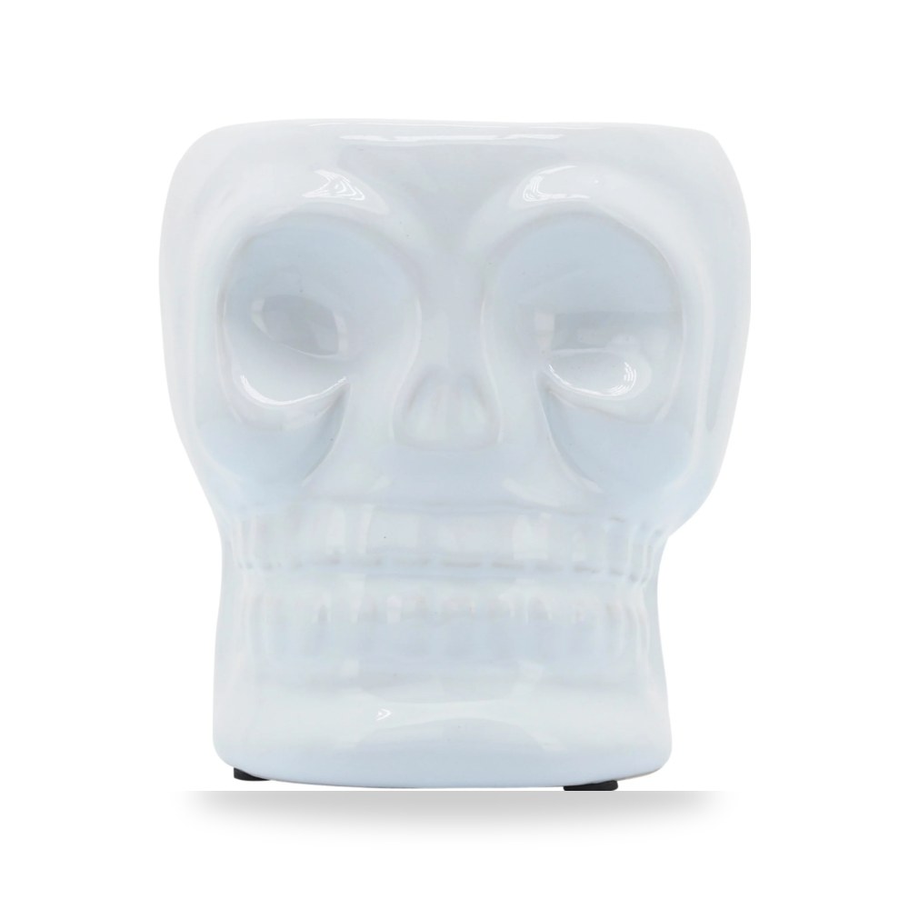 مزهرية فازة ديكور CERAMIC, SKULL Sagebrook Home