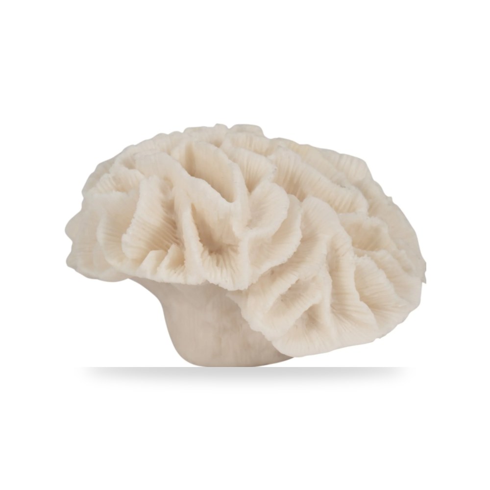 عاجي Petal Coral, Sagebrook Home