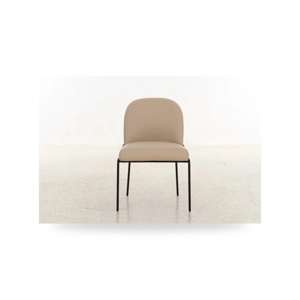 كرسي طعام فاخر - كرسي طعام طبيعة ومناظر بيج - طراز RF-1572-D97706BE
