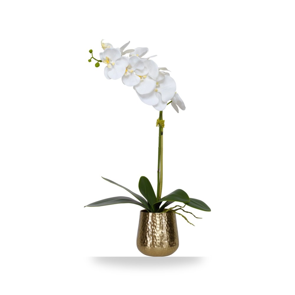 نحاس أصفر Cami Orchid, أترموست Uttermost