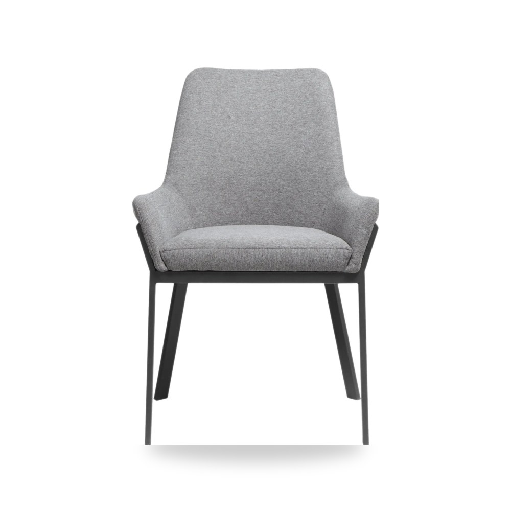 كرسي طعام فاخر - كرسي طعام Lloyd Chair M2 Moes - من Moe's Home - طراز ER-2082-25