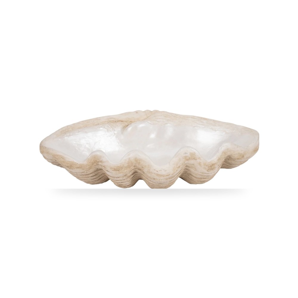 عاجي Shell Bowl, Sagebrook Home