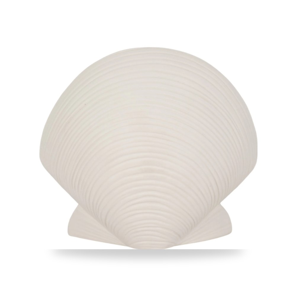 أبيض Seashell Decor, Sagebrook Home
