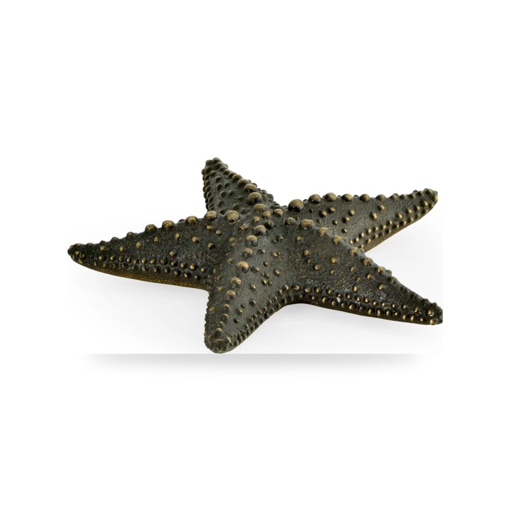 برونزي Collection Dark Starfish موديل 495773-DKB Jonathan Charles