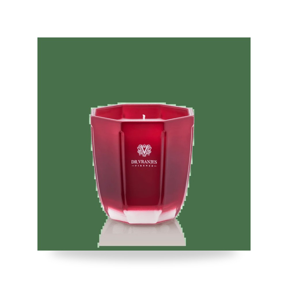 شمعة معطرة دكتور فرانيس فلورنسا Dr. Vranjes Firenze موديل CND001602AME Drvranjes