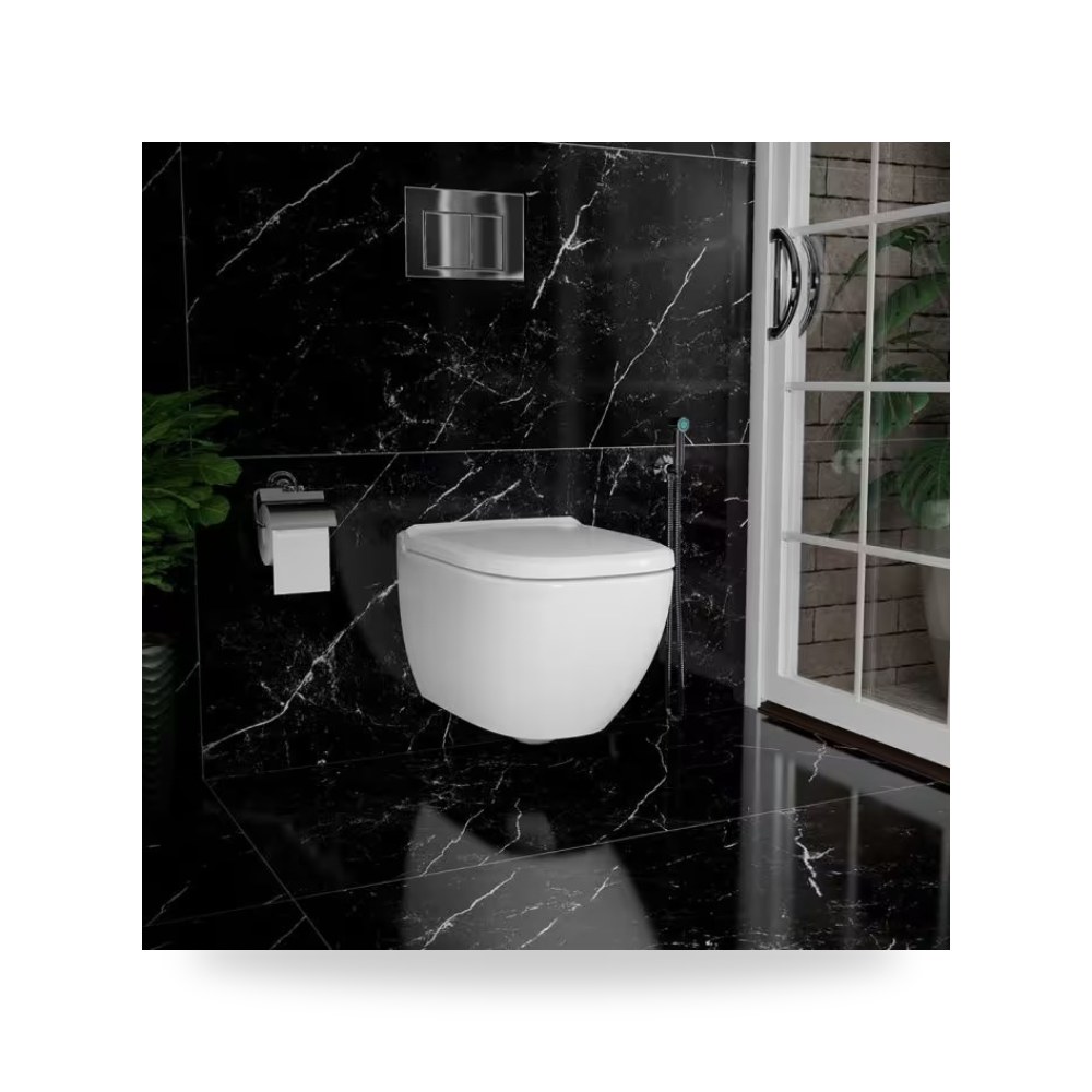 Saudi Ceramic Hnag Toilet Wall Orix Vectoria