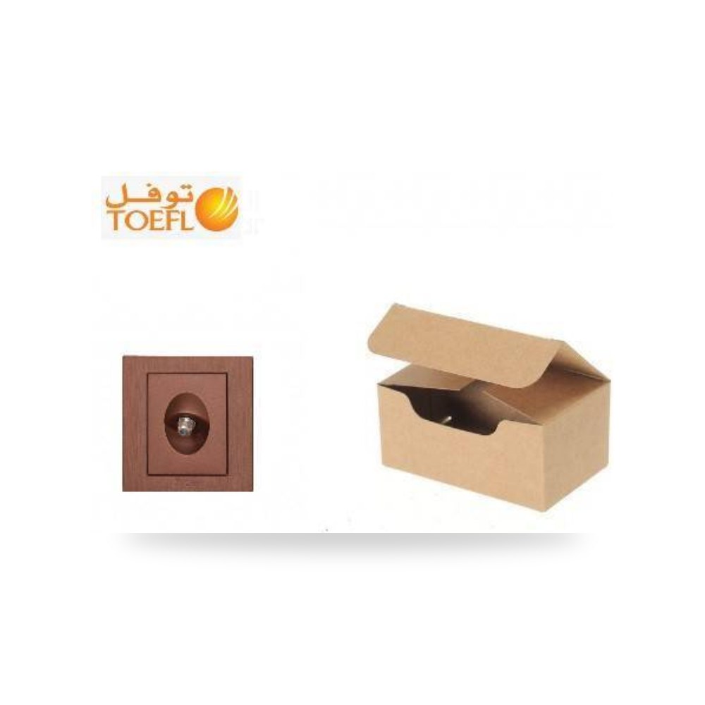 كرتون 10 حبه فيش دش توفل عودى خشبي