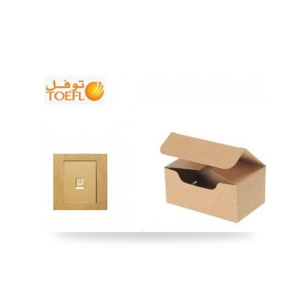 كرتون 10 حبه فيش كمبيوتر توفل ذهبي