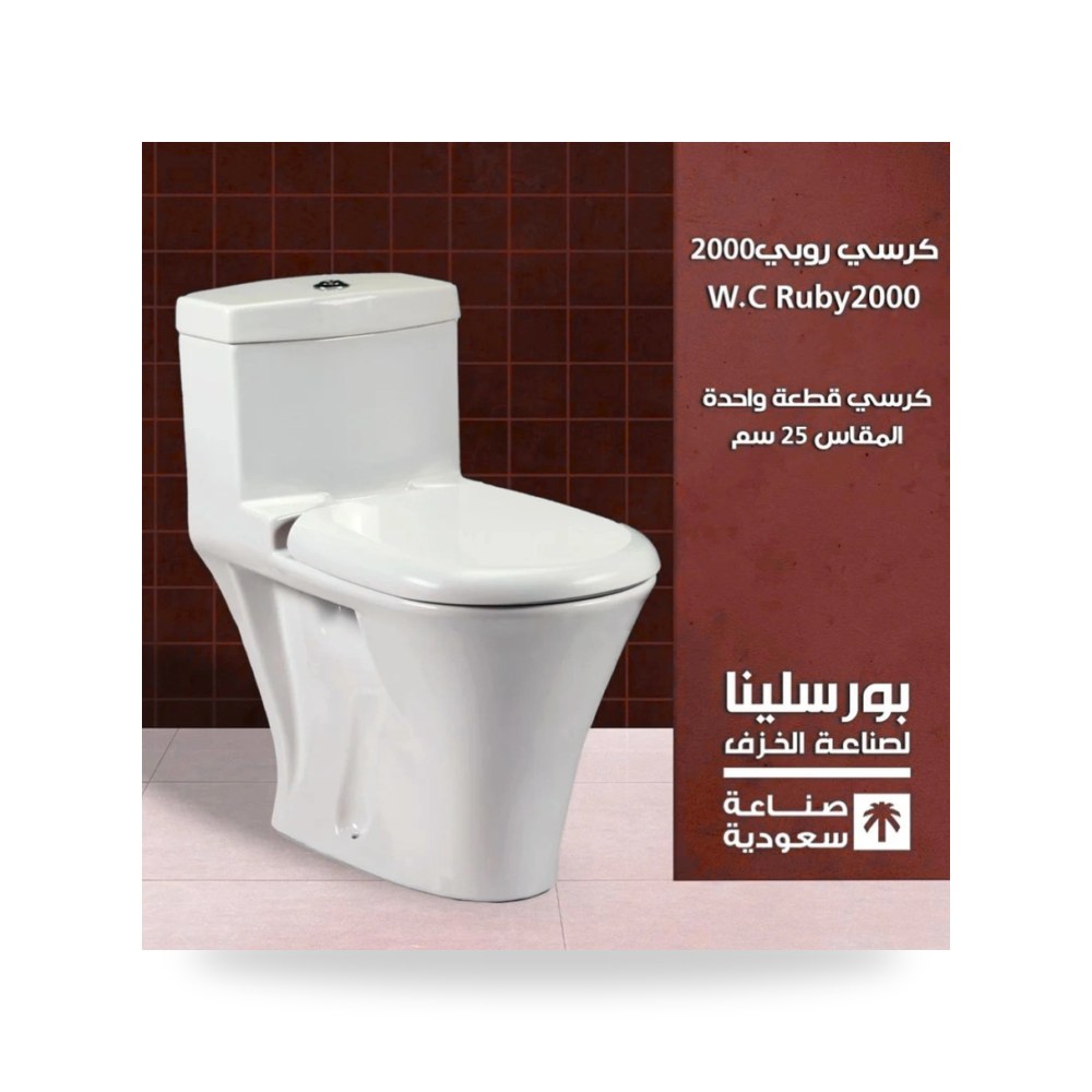 كرسي روبي 2000 25 سم طقم متكامل مع شطاف ومحبس شركة (REMCO)