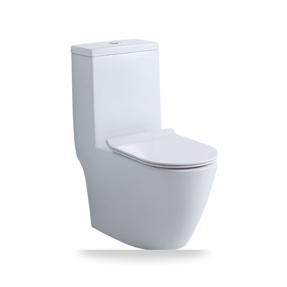 سيلفر تواليت ارضي مع خزان سيفون وغطاء مجموعة شركة (REMCO) موديل F47.97.008-1V25S