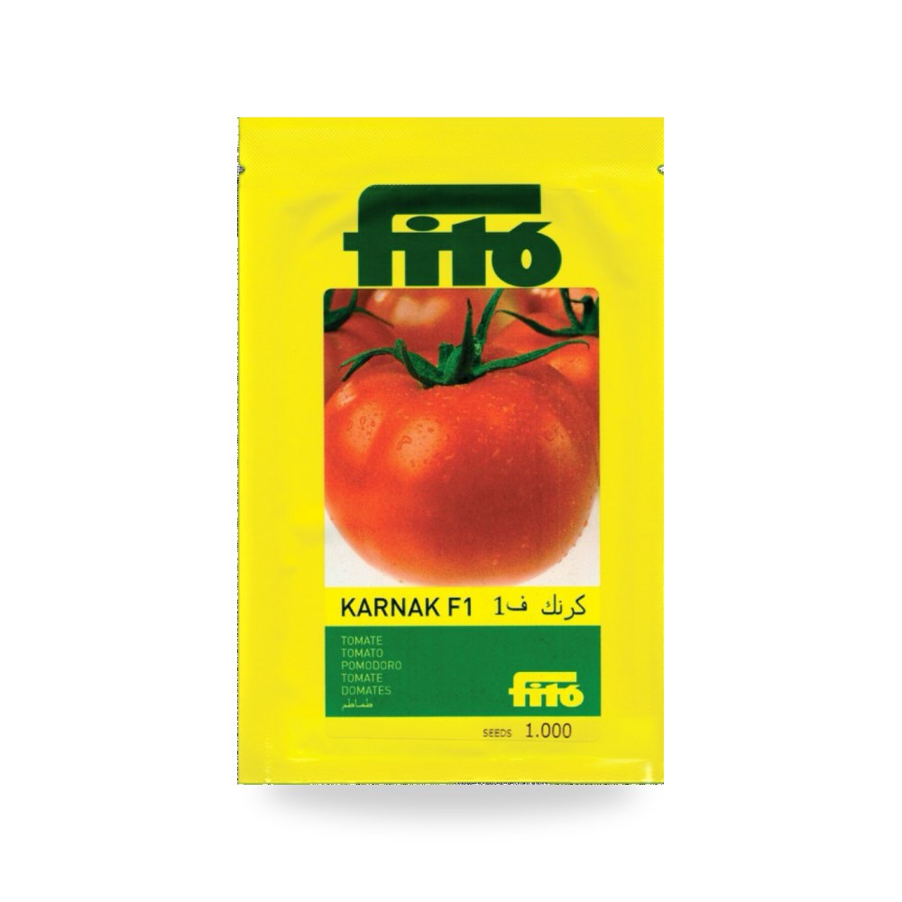 طماطم كرنك F1 ا 1000 بذرة شركة Alhumaidi co