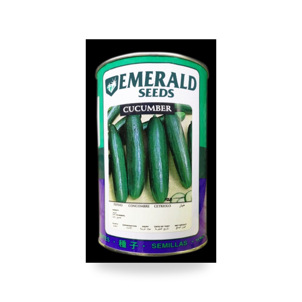 خيار بيت الفا عادي امريكي علبة 400 غم
