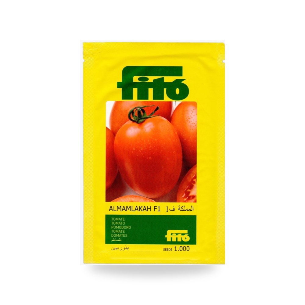 طماطم المملكة F1 ا 1000 بذرة شركة Alhumaidi
