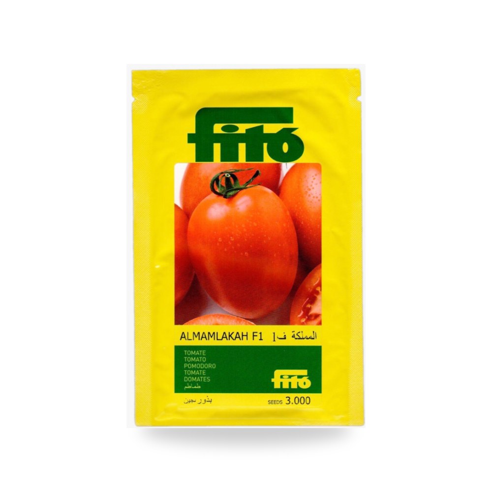 طماطم المملكة F1 ا 3000 بذرة شركة Alhumaidi