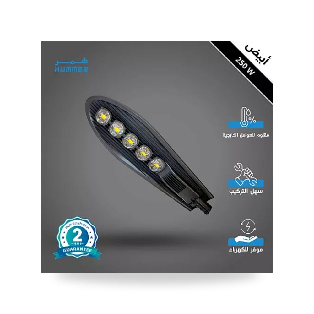 كشاف خارجي بحساس ضوء 5 عدسات 250W أبيض همر موديل UP-15