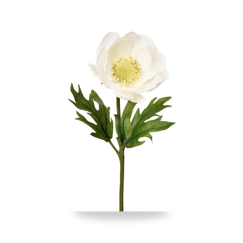 غصن شقائق النعمان 23549-10 ايلوس شركة (REMCO)