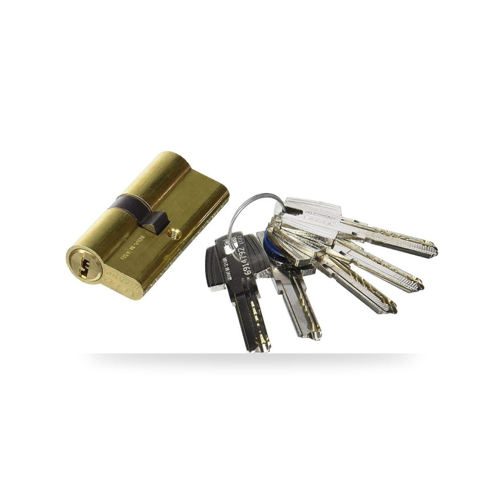 اسطوانة امان T65D3535L من تيسا اسا، مقبض مزدوج T60 DS
