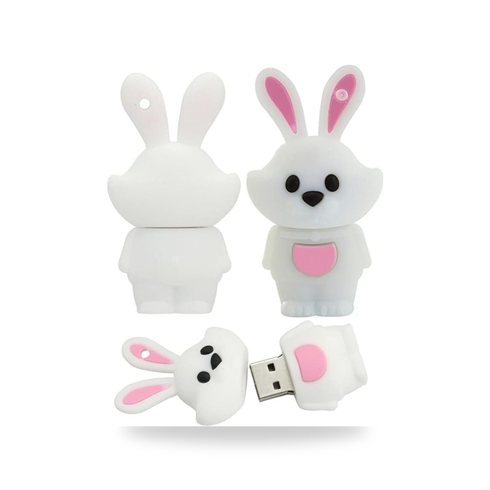 ذاكرة فلاش USB 16GB كرتونية 12 حيوان رمزي - موديل B07R6SY9W9 | ريمكو