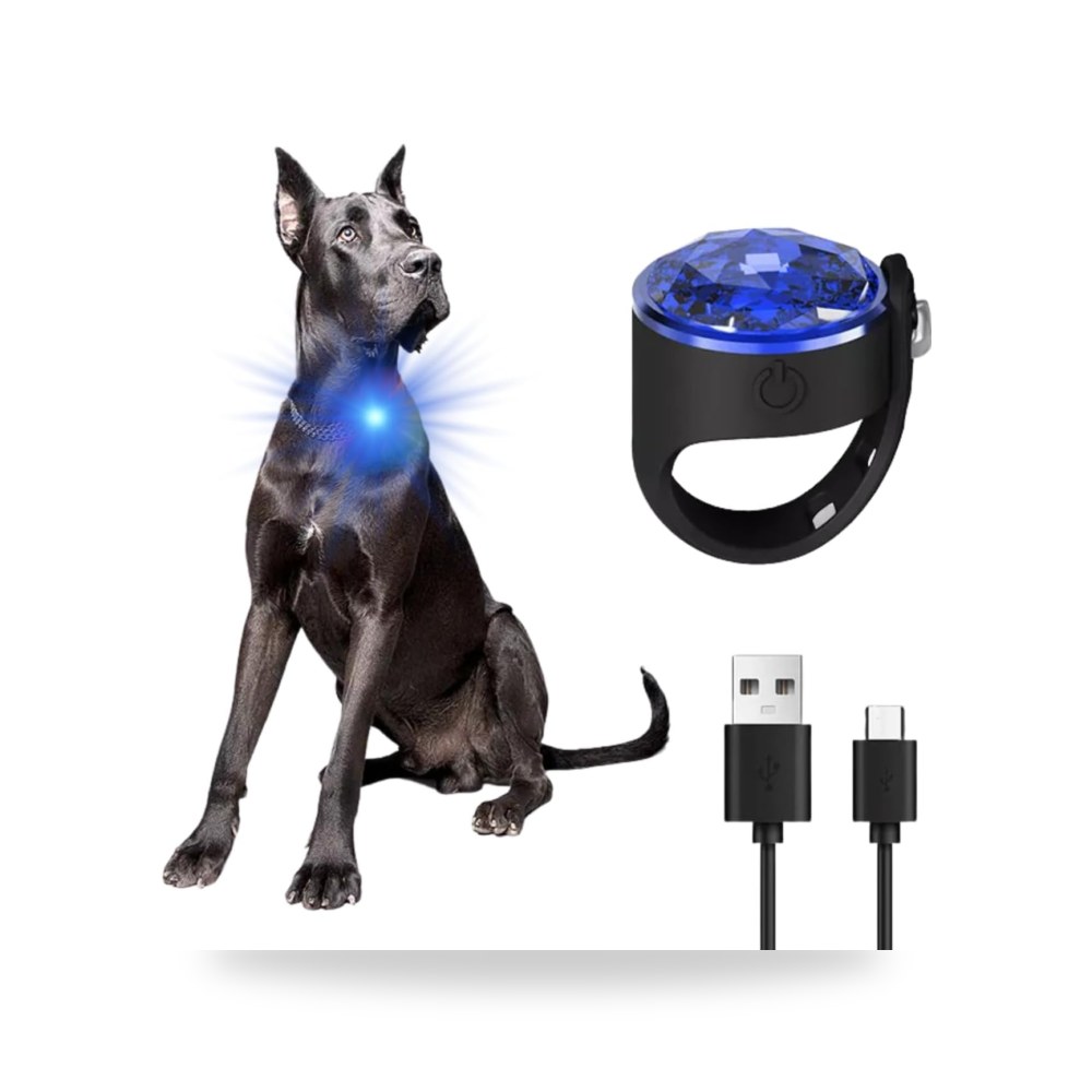 طوق كلاب مضيء بإضاءة LED من سبارتيكس - قابل لإعادة الشحن (موديل B0BQFQZYZT)