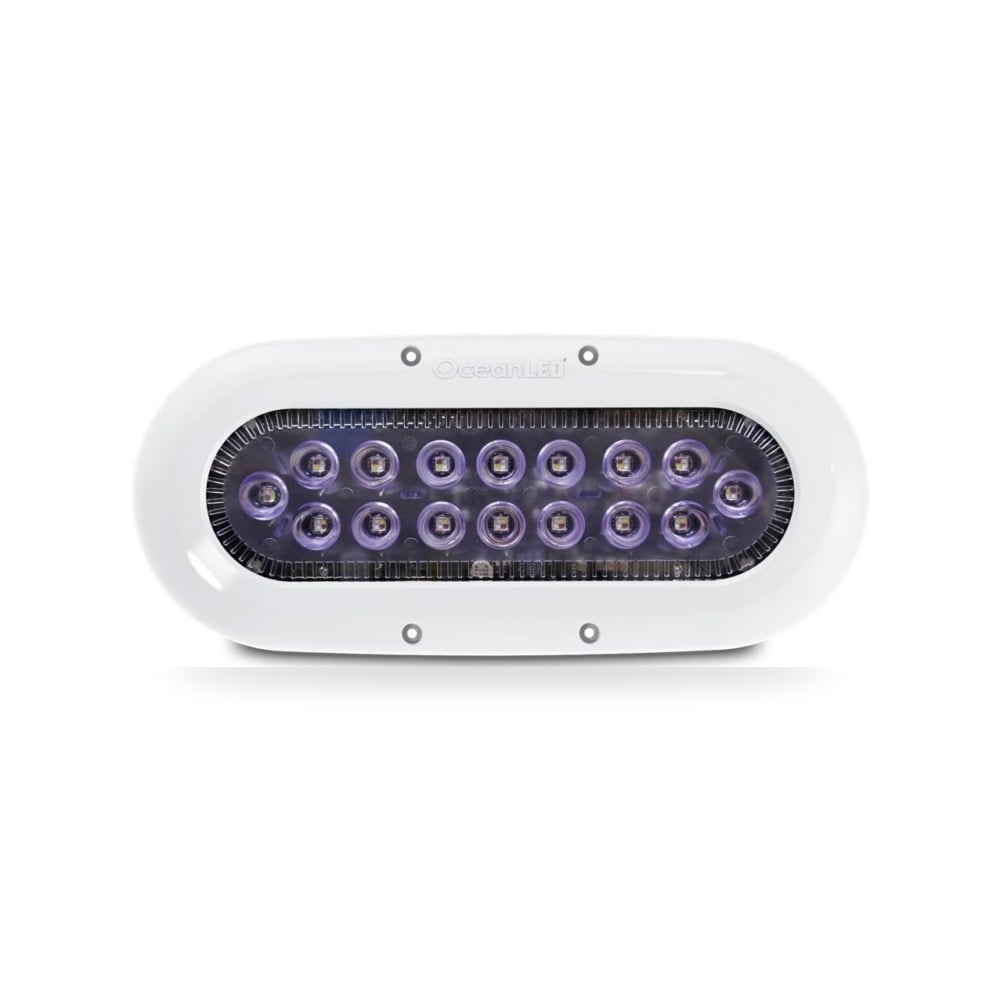 اوشن ليد سلسلة اكس 16 - الوان LED [012311C] | تسوق الآن مع التوصيل السريع