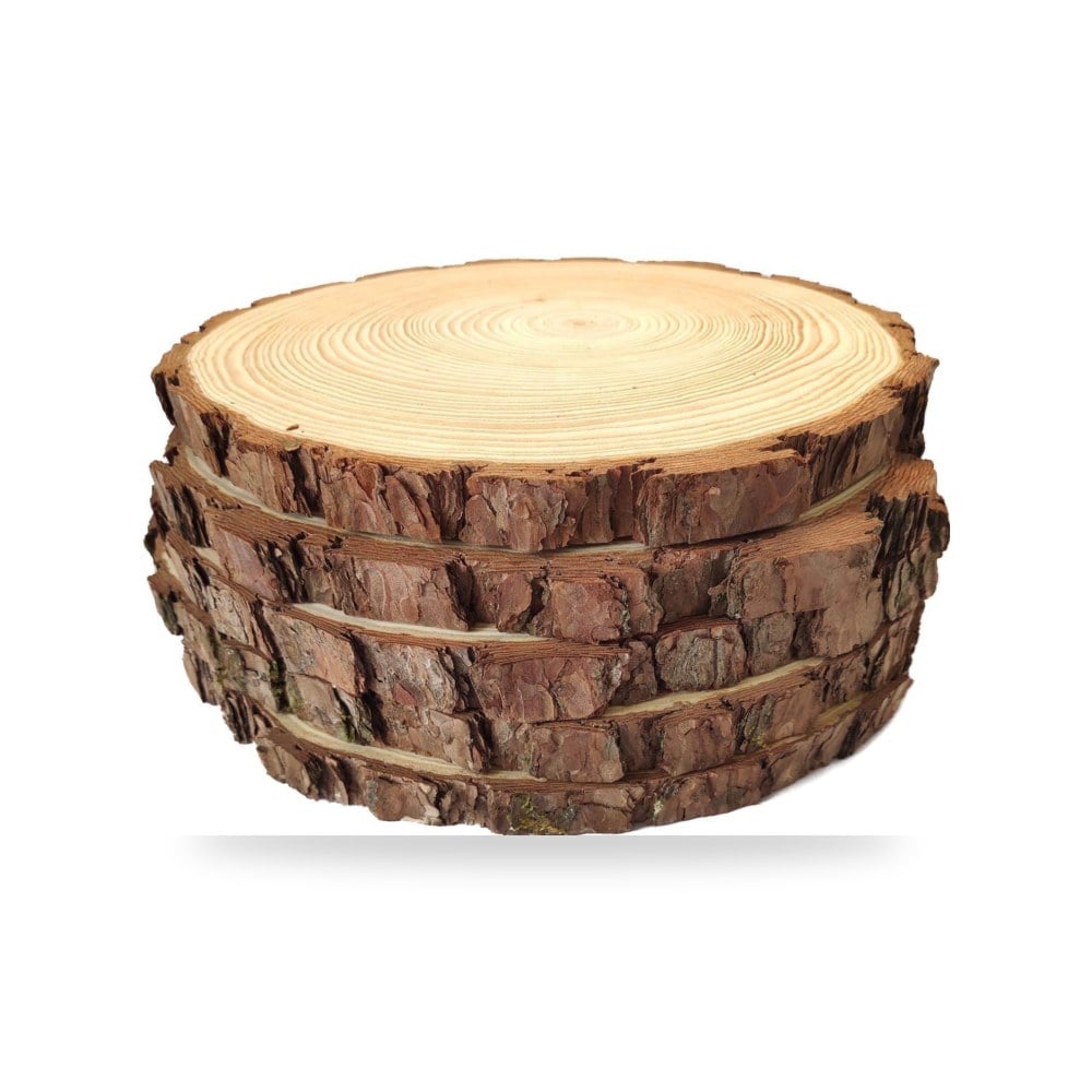طقم شرائح وأقراص خشب صنوبر طبيعي بلحاء الشجر للحرف اليدوية والرسم 5 قطع ماركة Pine Crafts
