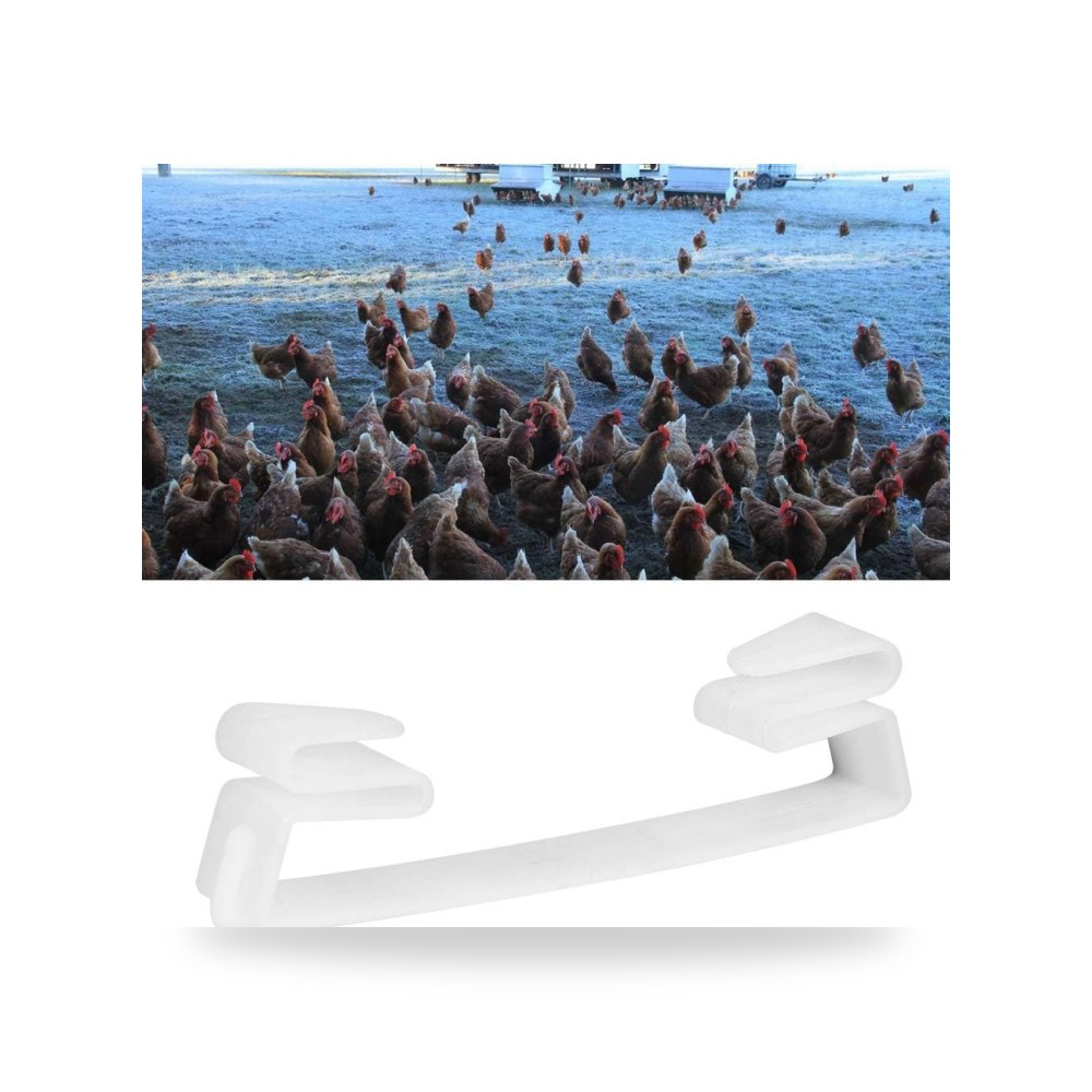 ايسيل ؟؟؟؟؟؟؟؟؟؟؟؟؟؟؟؟؟؟؟؟؟؟؟؟؟؟؟؟؟؟؟؟؟؟؟؟؟؟؟؟؟؟؟؟؟؟؟؟؟؟؟؟؟؟؟؟؟؟؟؟؟؟