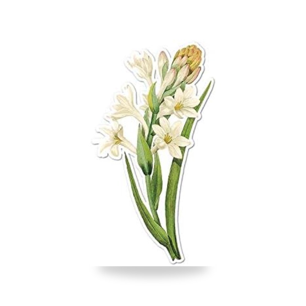White Tuberose لوحة زهور عتيقة ملصق فينيل
